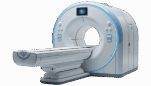 360 f 1186023161 zuuxckurb7tokembr8j6vvlmlrebkxmr